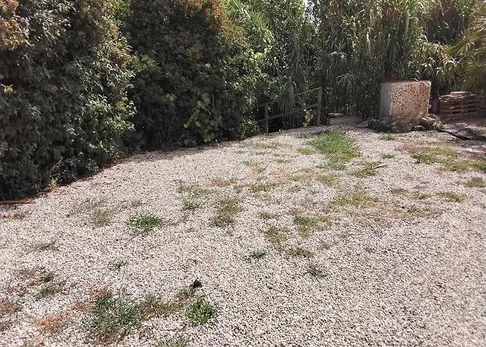 Apartment L'oasi Montesilvano Marina